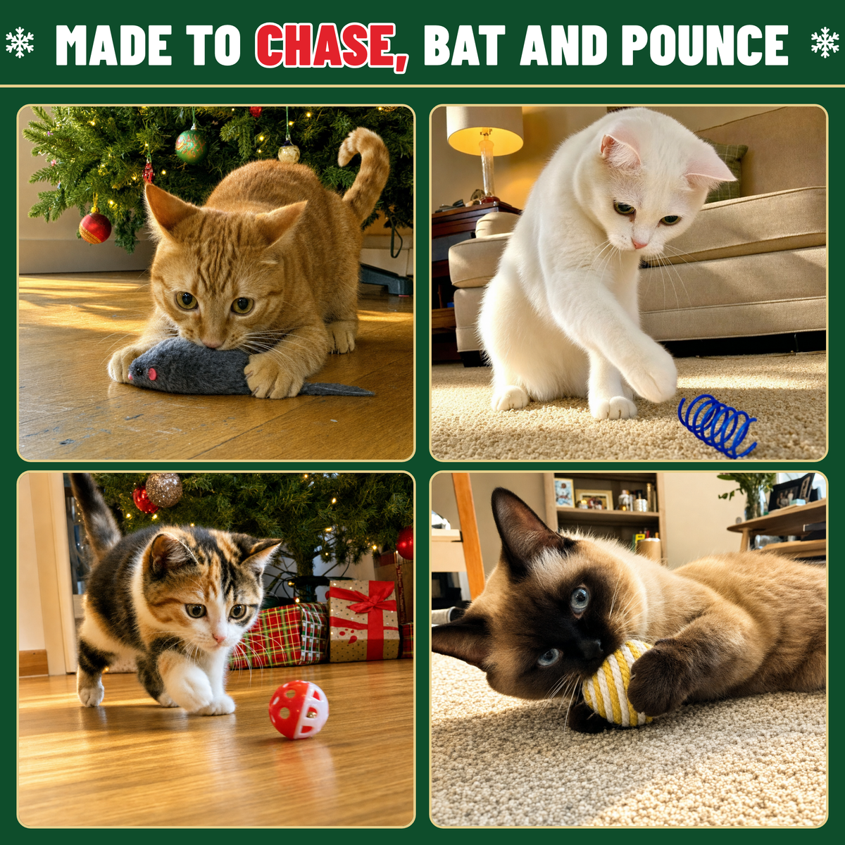 Cat Advent Calendar