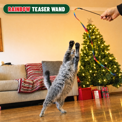 Cat Advent Calendar