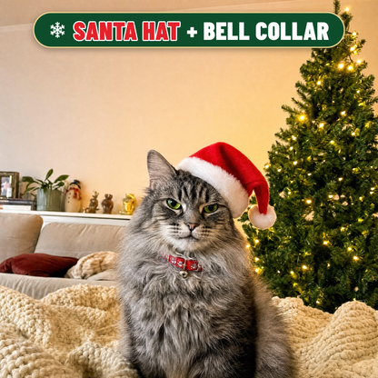Cat Advent Calendar