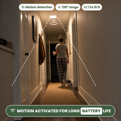 Rechargeable Motion Ceiling Light